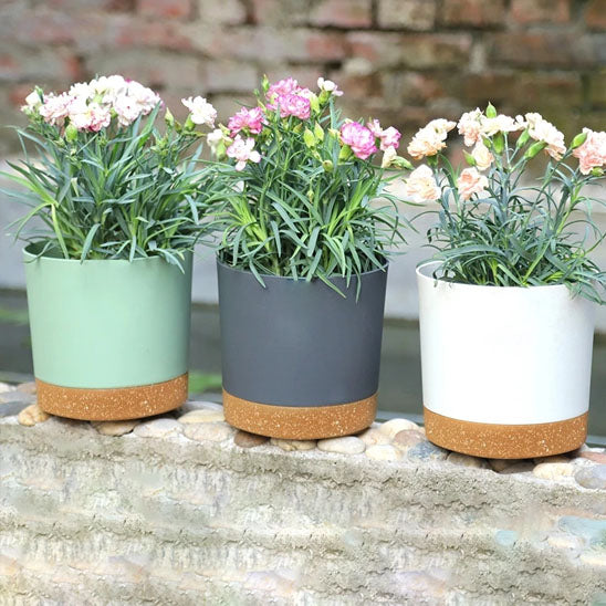 Pots de fleurs sur bord de balcon