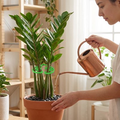 une femme qui arrosé une plante avec un Support plante grimpante installe