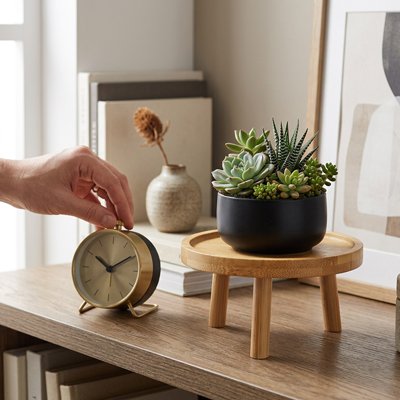 une plante sur un Support plante intérieur décorative sur une bibliothèque