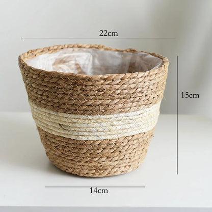 Beige_M