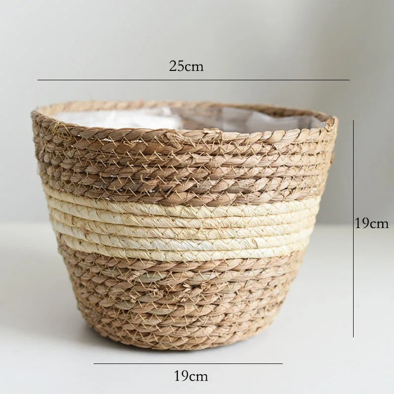 Beige_l