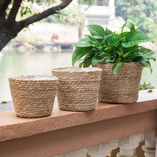 CACHE POT DEHORS SUR LE BALCON