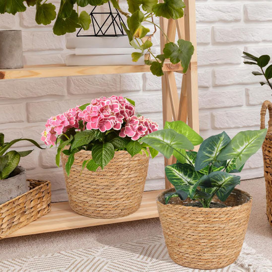 CACHE POT SUR LE SUPORT DE PLANTE