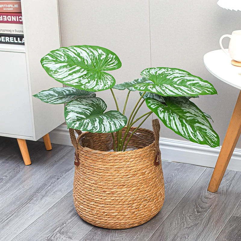 Cache Pot de fleurs en rotin dans la chambre