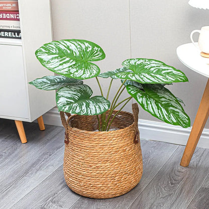 Cache Pot de fleurs en rotin dans la chambre