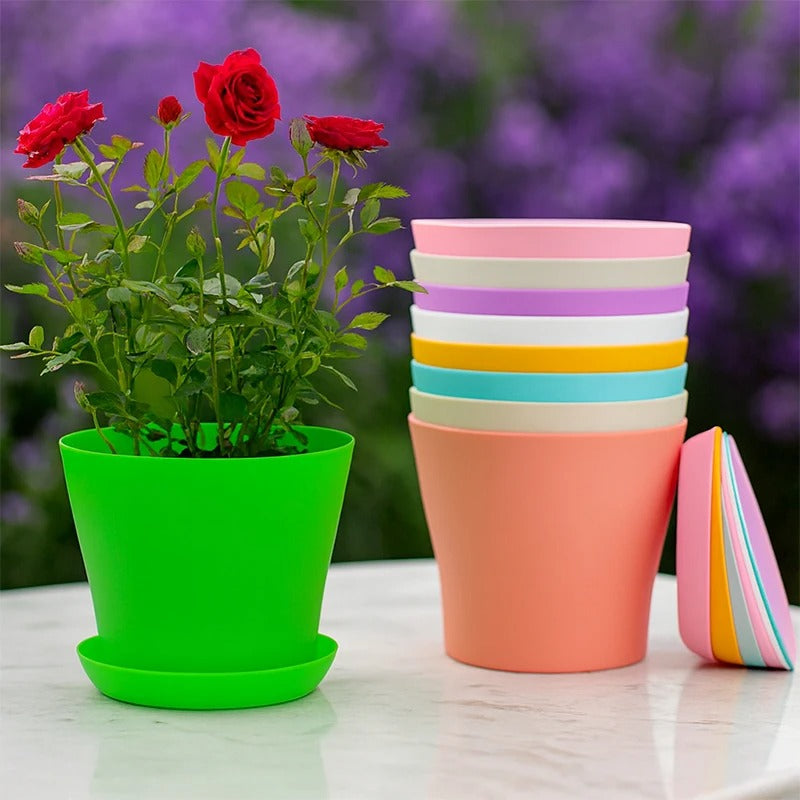 Pot de fleur couleur de bonbon su la table