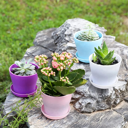 Pot de fleur couleur de bonbon sur  des roches