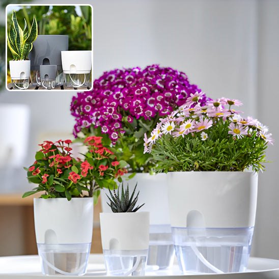 Pots de Plantes Plastique Auto Arrosant dans le salon