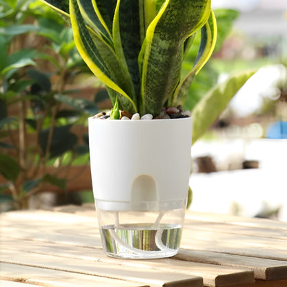 Pots de Plantes Plastique Auto Arrosant dehors