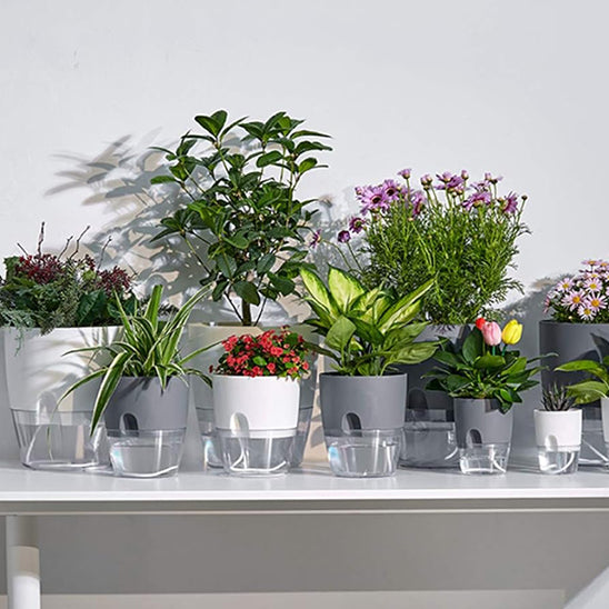 Pots de Plantes Plastique Auto Arrosant de différente forme