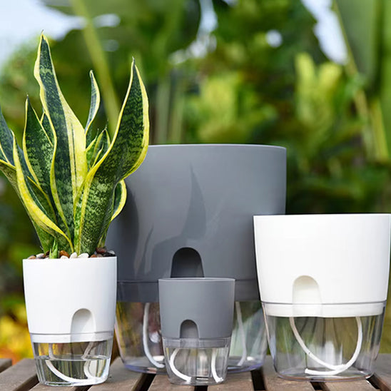 Pots de Plantes Plastique Auto Arrosant différente forme dehors