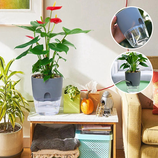 Pots de Plantes Plastique Auto Arrosant facile rempiler