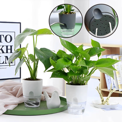 Pots de Plantes Plastique Auto Arrosant intérieur