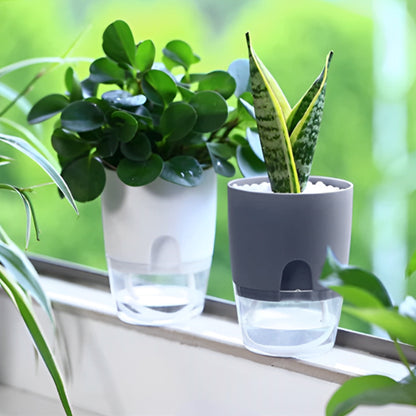 Pots de Plantes Plastique Auto Arrosant rebord de la fenêtre