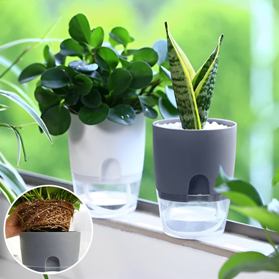 Pots de Plantes Plastique Auto Arrosant sur le balcon