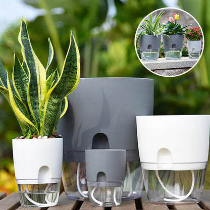 Pots de Plantes Plastique Auto Arrosant