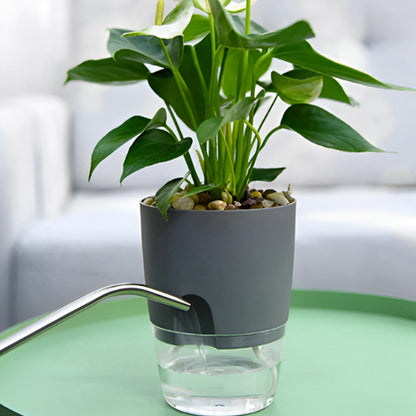 Pots de Plantes Plastique Auto arrosage sans dégât d'eau