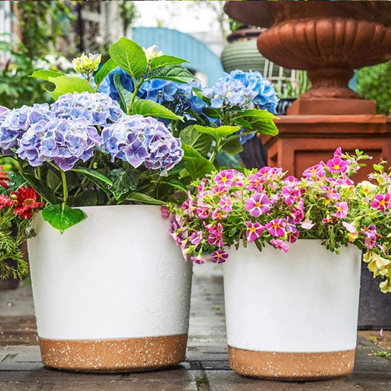 Pots de fleurs dans un jardin
