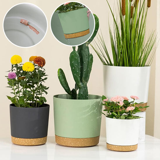 Pots de fleurs