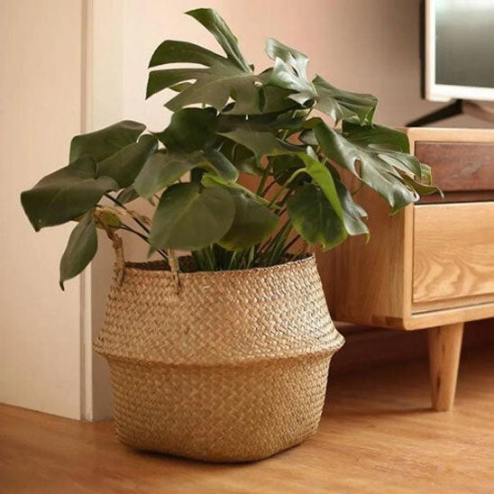 cache pot en osier dans un coin de la maison
