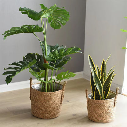 cache pots pour des grand et petit plante
