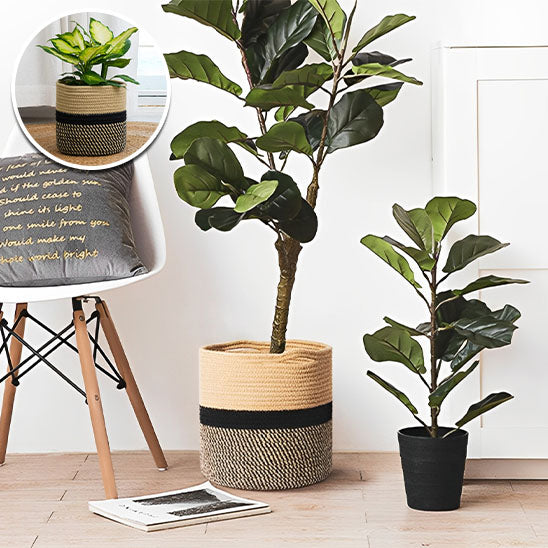 cache pots pour toutes type de plante