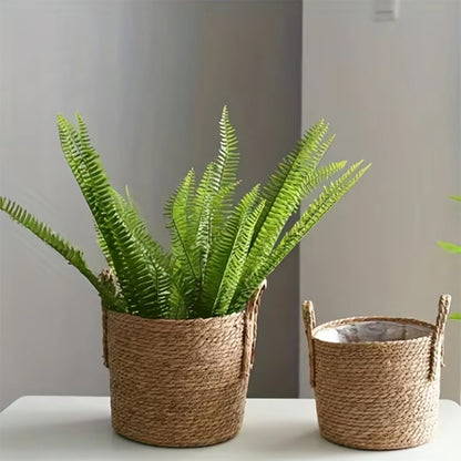 coche pots intérieur.