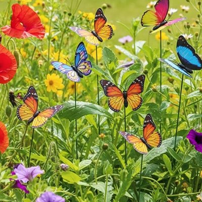 Décoration jardin 