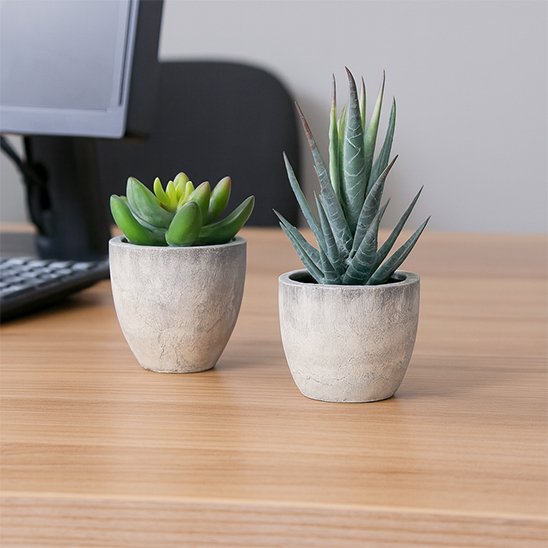 deux Plante artificielle sur la table 