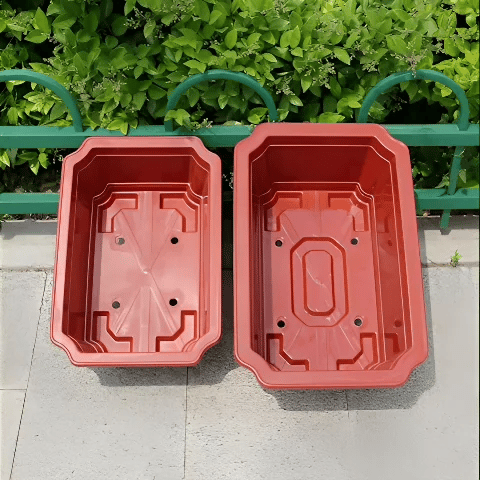 deux taille de Pot de fleurs bonsaï