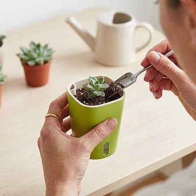 une femme met une petite plante dans le Pot de fleur d'arrosage automatique 
