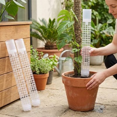 femme met son Tuteur plante a cote de sa plante