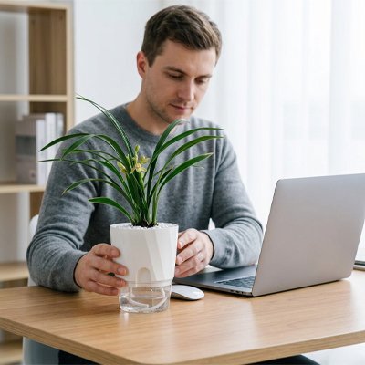 un homme met le Pot de fleur auto-arrosage sur son bureau