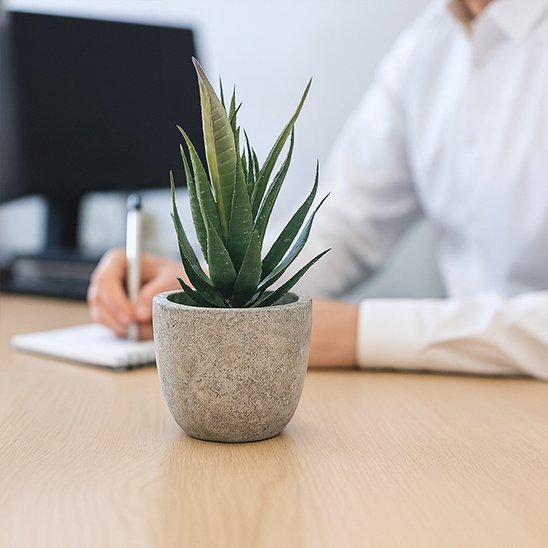 une Plante artificielle d'ollivier sur le bureau