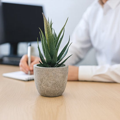 une Plante artificielle d'ollivier sur le bureau