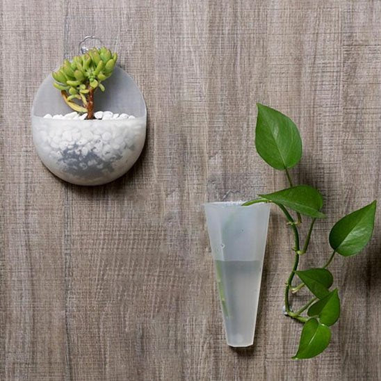 des plante dans le Pot de fleur interieur suspendu au mur,