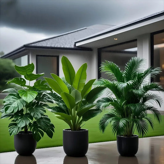 des plantes artificielle dans l'entre de la maison