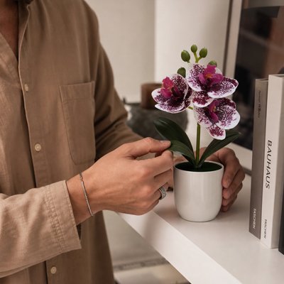 Plantes artificielles Bonsaï  sur un meuble à côte des livres