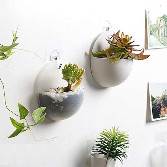 Pot de fleur interieur suspendu au mur, avec des plante