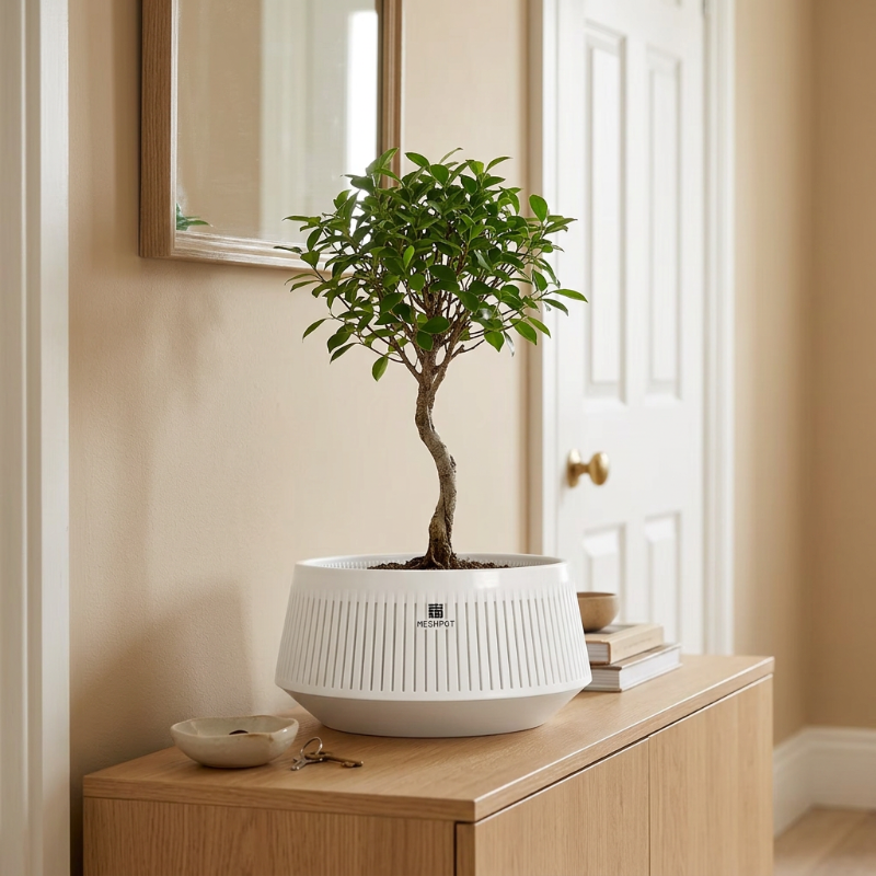 Pot blanc avec un petit arbre dans une entrée de maison