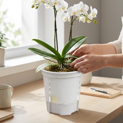 Pot de fleur sur le bureau