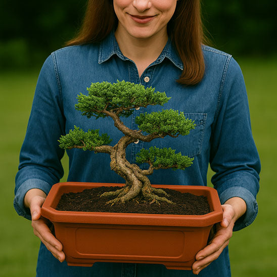 pot de fleurs bonsaï porter par une femme