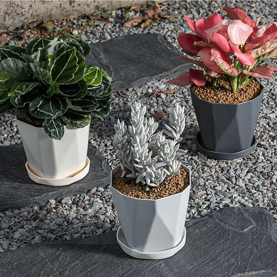 pot de fleur dans jardin