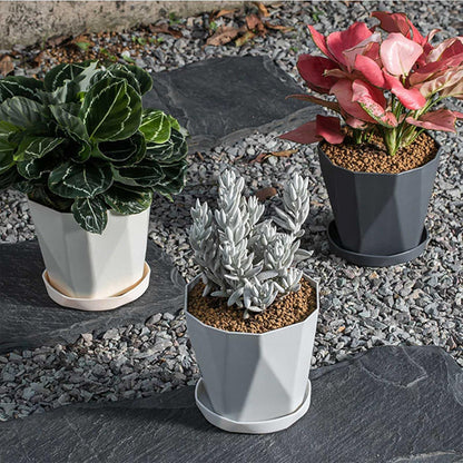 pot de fleur dans jardin
