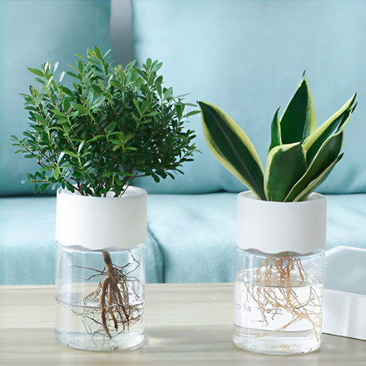 pot fleur dans salon