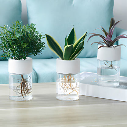 pot fleur intérieur