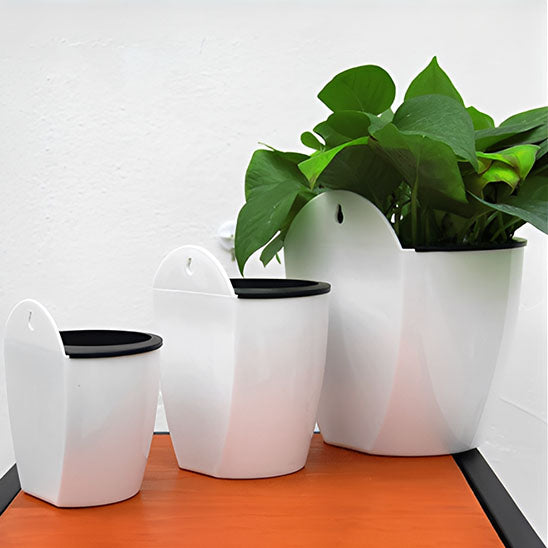 pot de fleur mural sur la table