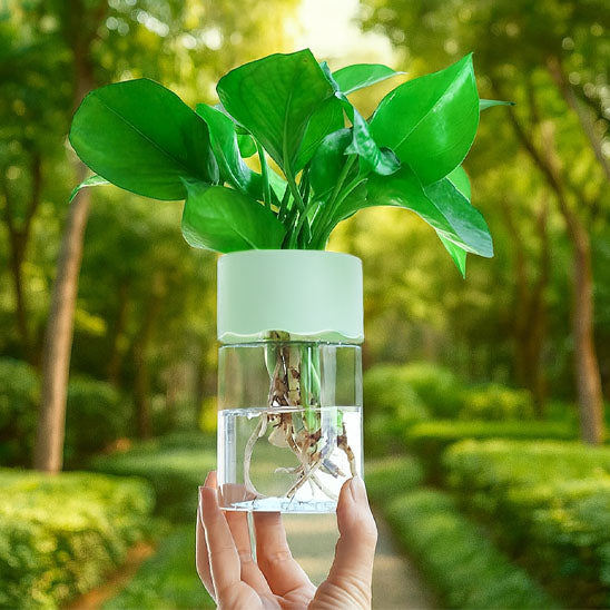 pot fleur plein nature