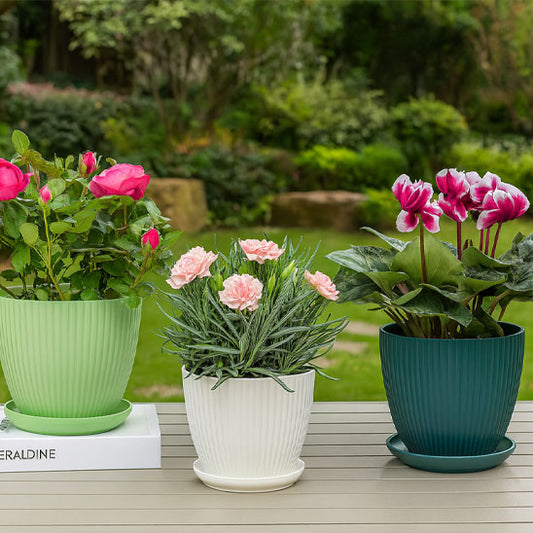Pot de fleurs rond  dans le jardin.jpeg