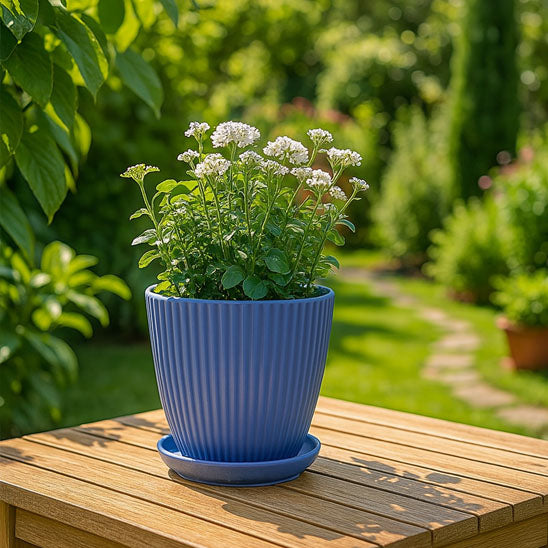 pot de fleur rond dehors